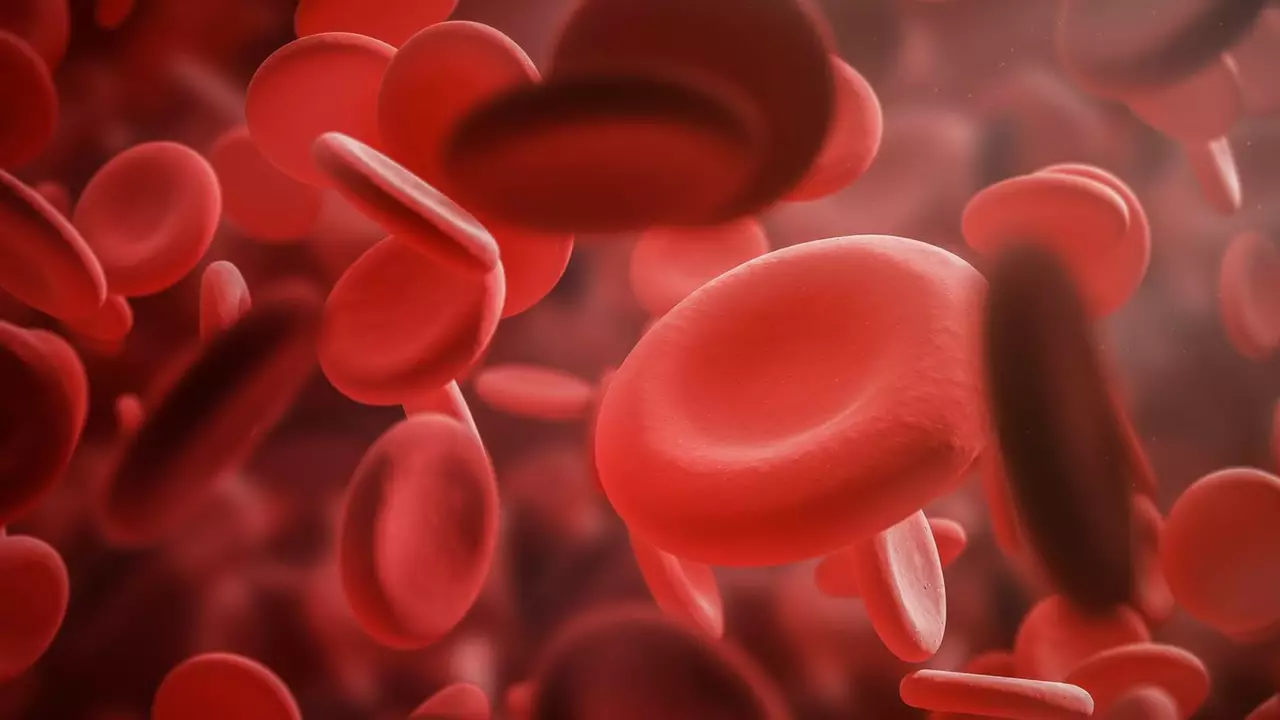 Aplastic Anemia: Understanding the Rare Blood Disorder