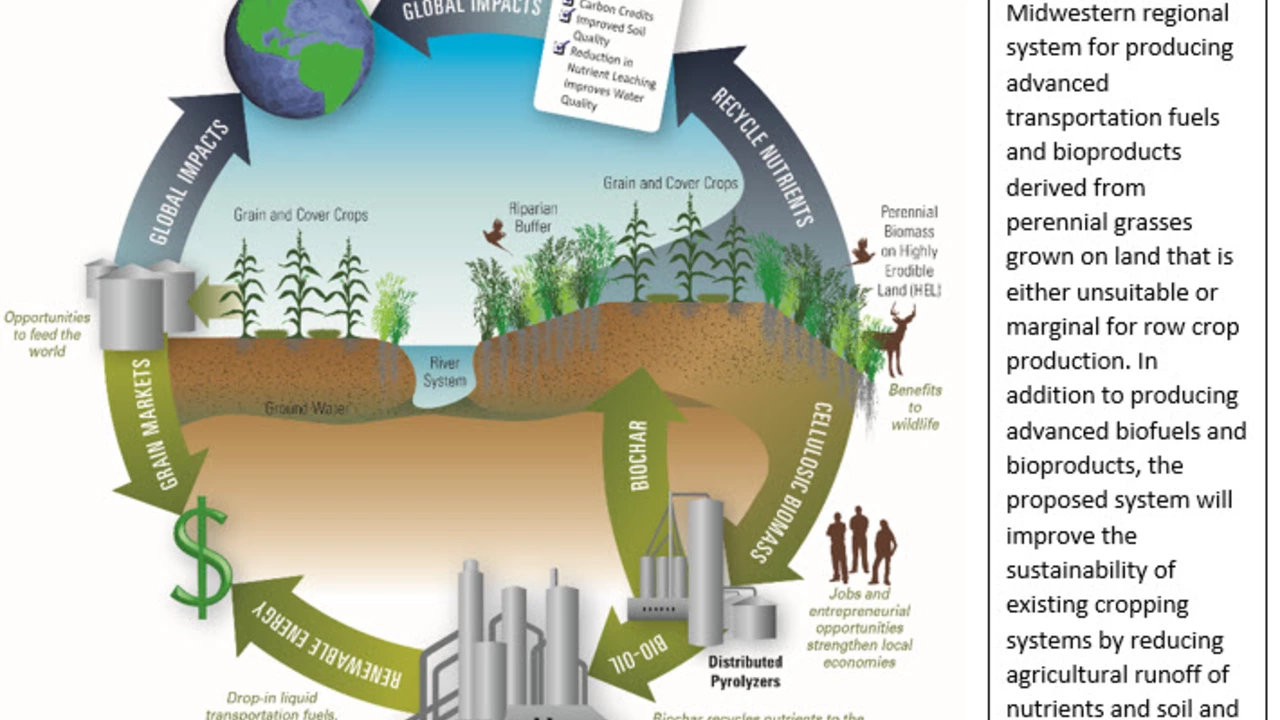 The Environmental Impact of Azelaic Acid: Is It Sustainable?