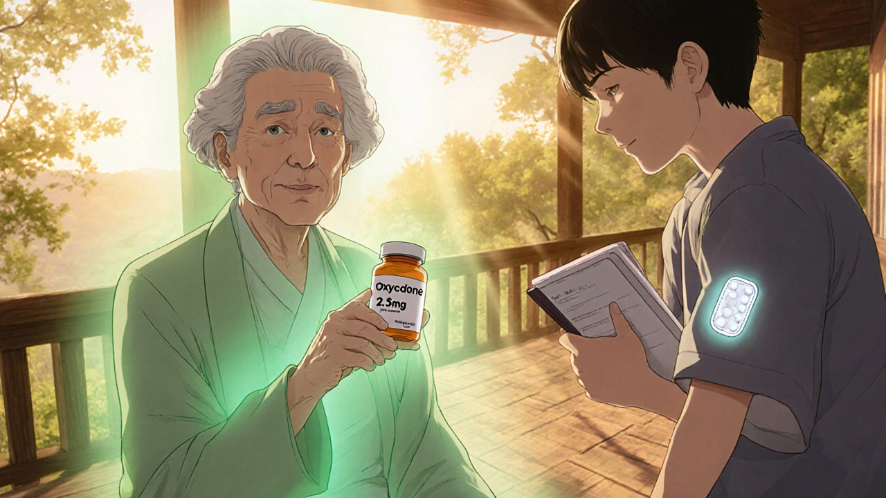 Opioids in Seniors: Safe Pain Management and Essential Monitoring Tips